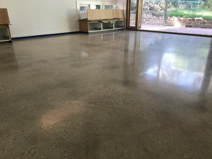 Clean and Colour Seal concrete finish by Polished SA
